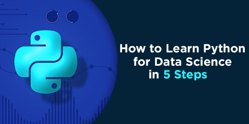 How to Learn Python for Data Science in 5 Steps