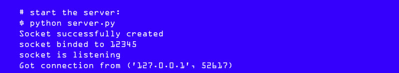 Socket Programming in Python